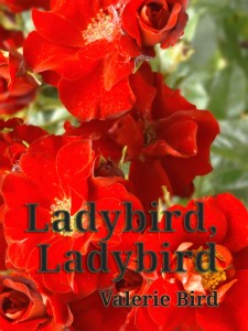 Ladybird, Ladybird Literary Fiction by independent author Valerie Bird