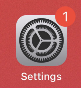 Setting App Icon